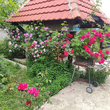 Green Valley Κότορ Εξωτερικό φωτογραφία