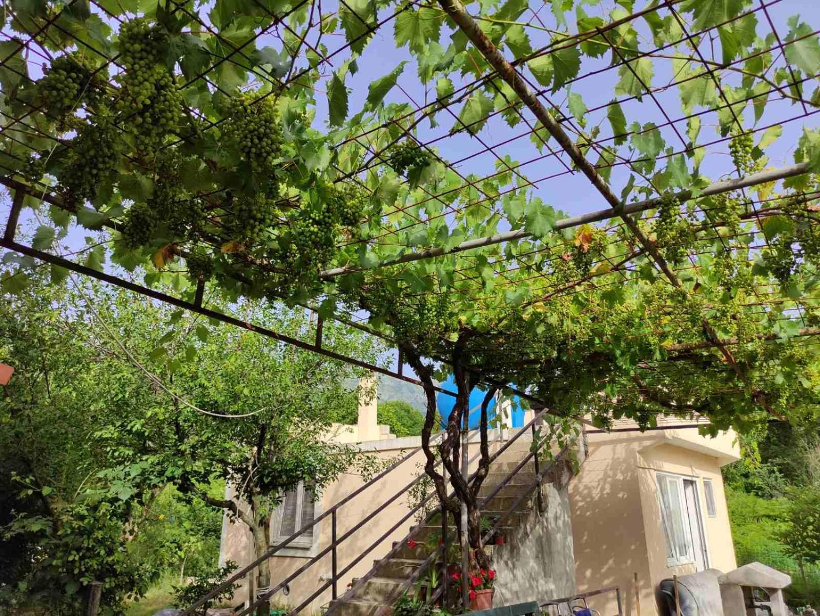 Green Valley Κότορ Εξωτερικό φωτογραφία