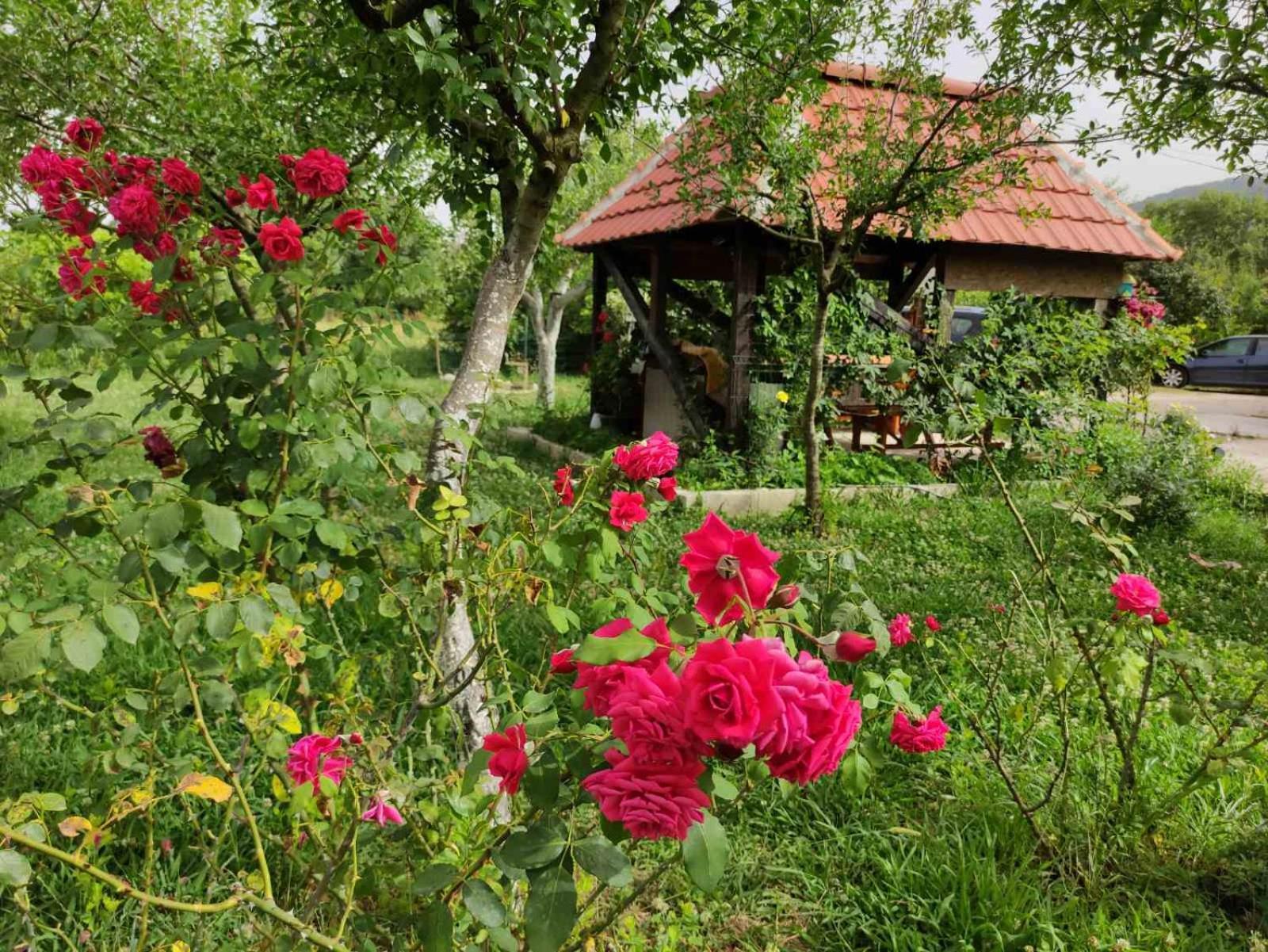 Green Valley Κότορ Εξωτερικό φωτογραφία