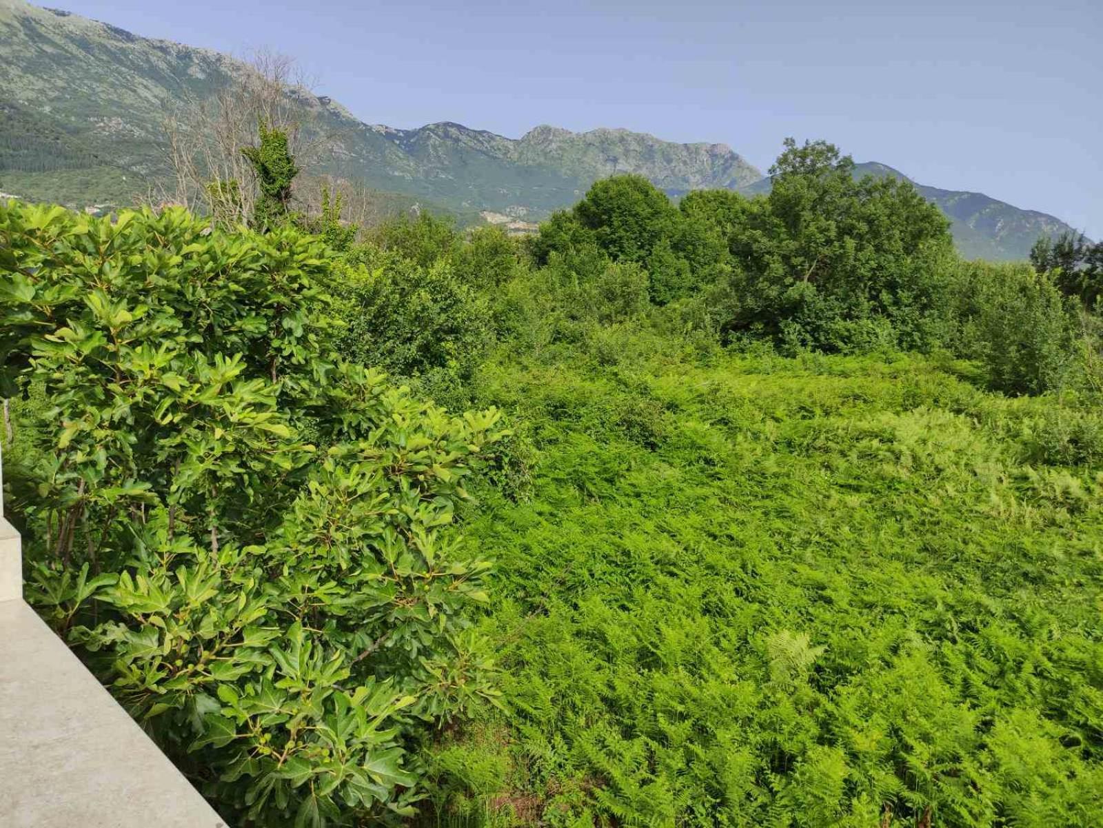 Green Valley Κότορ Εξωτερικό φωτογραφία