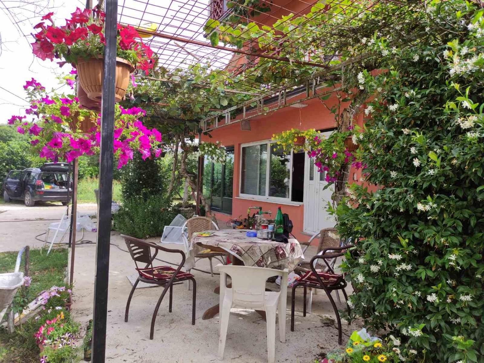 Green Valley Κότορ Εξωτερικό φωτογραφία