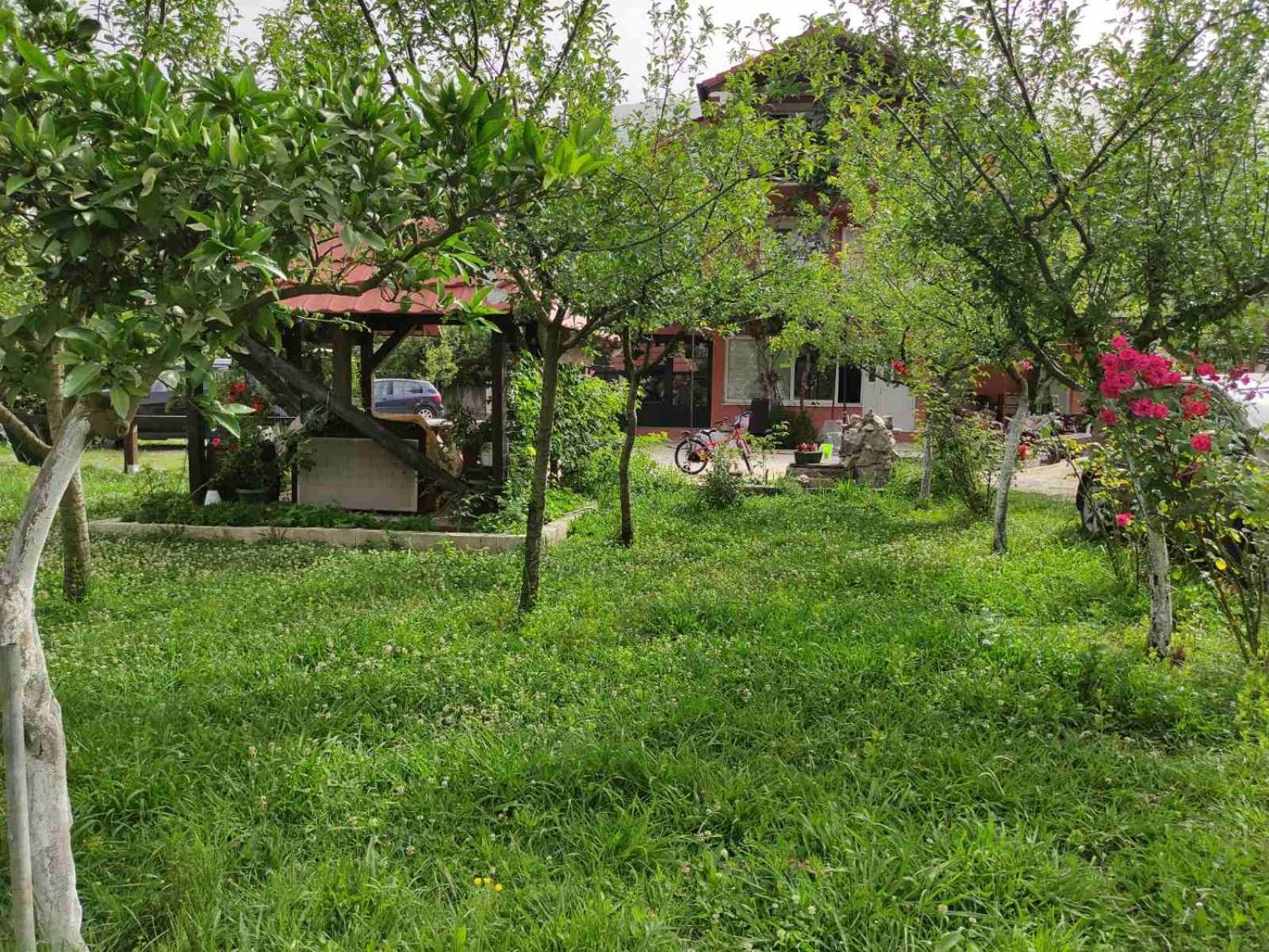 Green Valley Κότορ Εξωτερικό φωτογραφία