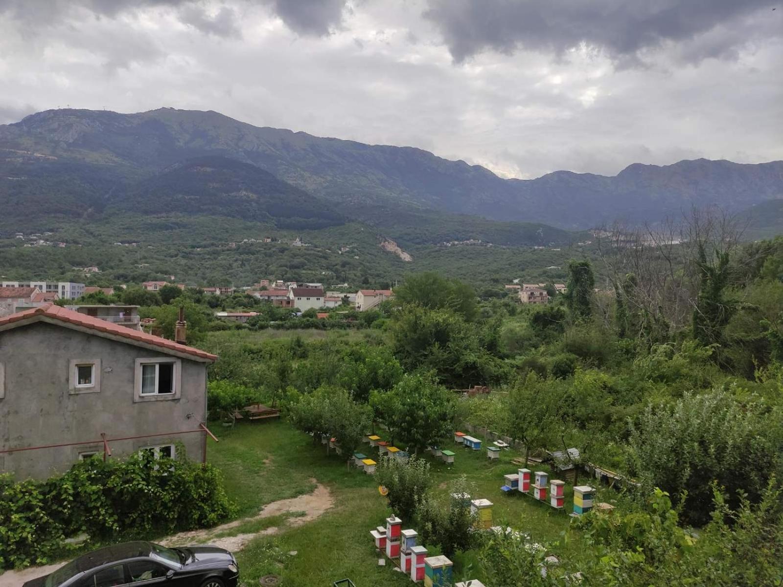 Green Valley Κότορ Εξωτερικό φωτογραφία