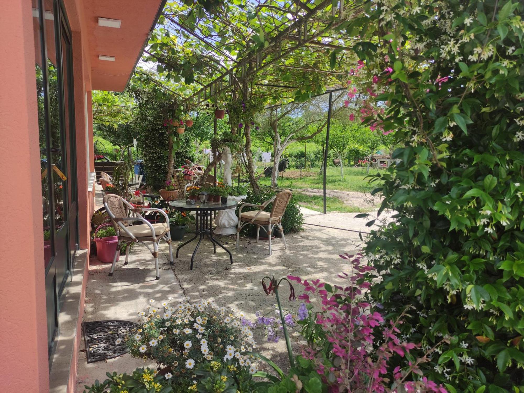 Green Valley Κότορ Εξωτερικό φωτογραφία